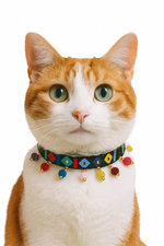 Tassel Collar
