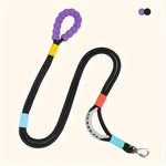Dog Leash